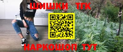 индика Пугачёв