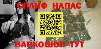 индика Пугачёв