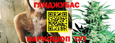 индика Пугачёв