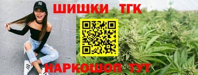 индика Пугачёв