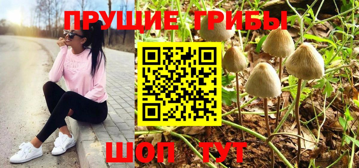 Псилоцибиновые грибы Psilocybine cubensis  где можно купить наркотик  Бор  Вход с VPN 